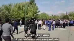 بسیجی هاگل می دن داعشی ها و اوباش دانشجو معاب فحش؟🤣🤣