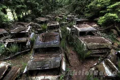 داستان توقف این خودروها و ترافیک ۷۰ ساله ی آن ها در جنگل 