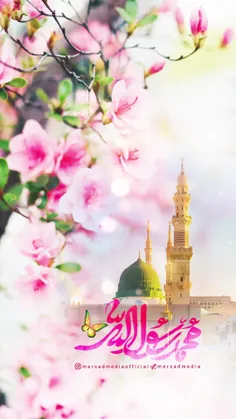 حق با محمد ﷺ است...♥