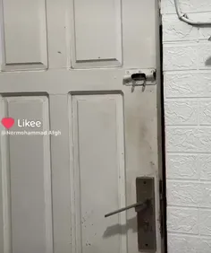 ایشون نوادگان  بروسلی  هستن 🤣