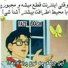 دقیقاً