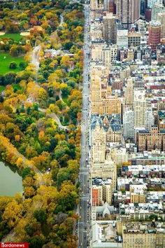 این خیابان در شهر نیویورک دو دنیای متفاوت را از یکدیگر جد