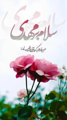 🌼#سلام_امام_زمانم