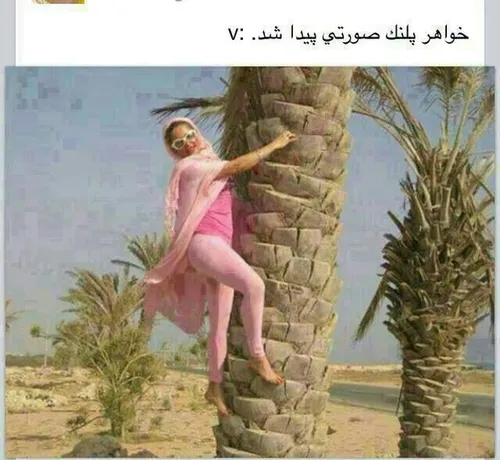 خخخخ