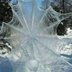 تصویری زیبا از تار عنکبوت یخ زده در روسیه