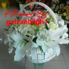 گوناگون vahid2262570 20614531