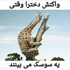 جعر دقیقا😂