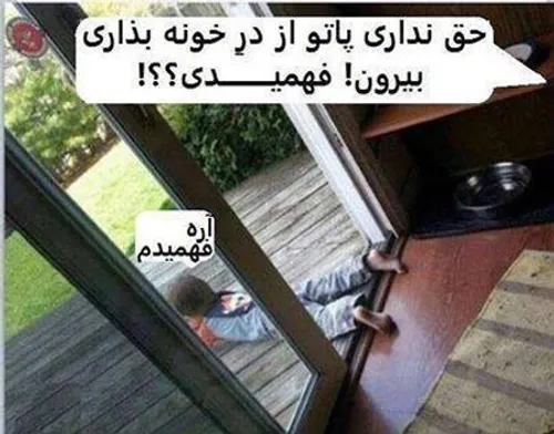 خخخخخ فدای فهمیدنت- ^