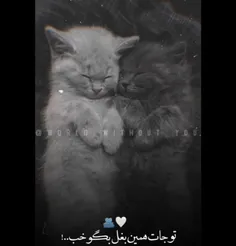 طُــــــــــــــــــ جات تو همین بغله.. ♥️