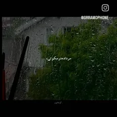 سر داده در سکوتی !