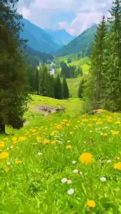 طبیعت قشنگ 🏕🌲💚