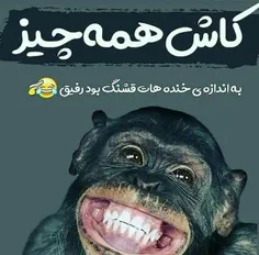 این پست تقدیم به همه ی #رفقای خوش خنده ی ویسگونیم