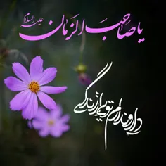 دار و ندارم تویی از زندگی ... #یا_صاحب_الزمان_عج...🍃🌸