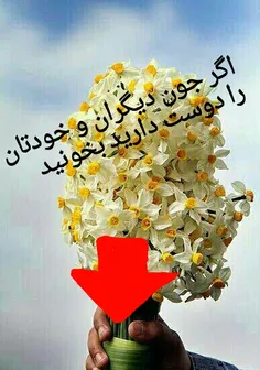 به جون مادرم لایکت میکنم 