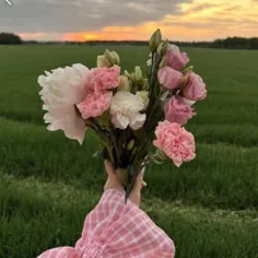 سلام کیوت های من ..🤍..