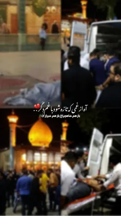 باز هم شاهچراغ باز هم شیراز !💔(: