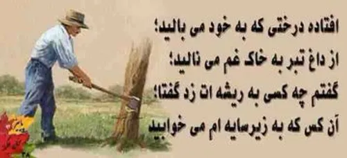 همونی که زیر سایه ام خوابید