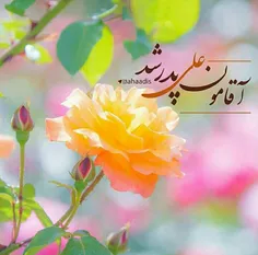 ♥♥♥ آقامون علی پدر شد ...!!!