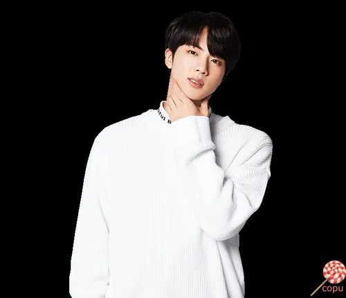 bts jin army