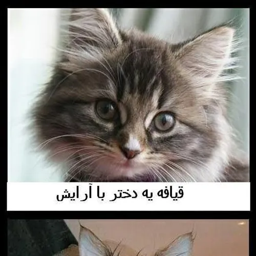 خخخ