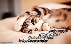 عاشقانه ها بیخیال 5746450