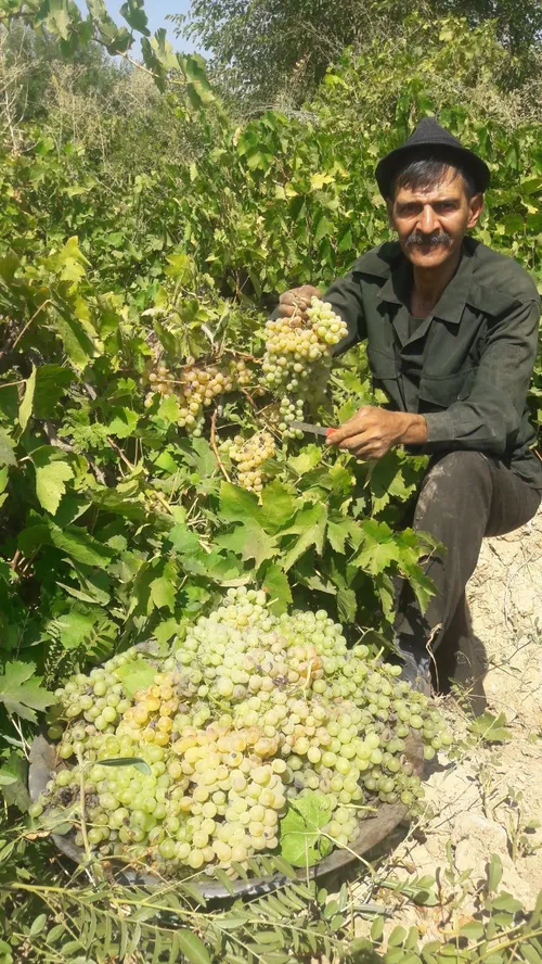 سلام دوستان عزیز ،پیجم برگشت😊 😍