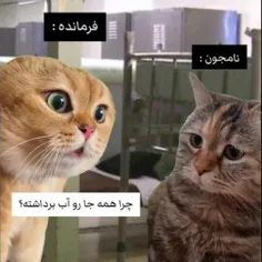 الان داره چیکار میکنه 🥺