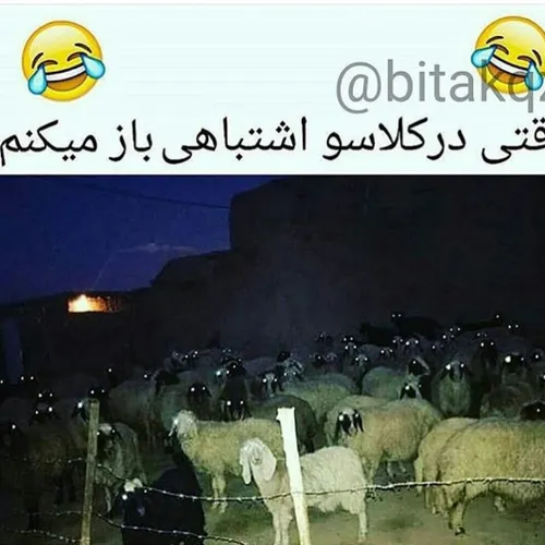 طنز خنده جک جوک