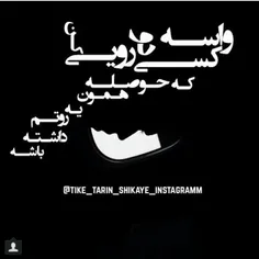 کلاغ ها می گفتند: