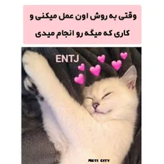 چطوری یک ENTJ رو خوشحال کنیم: