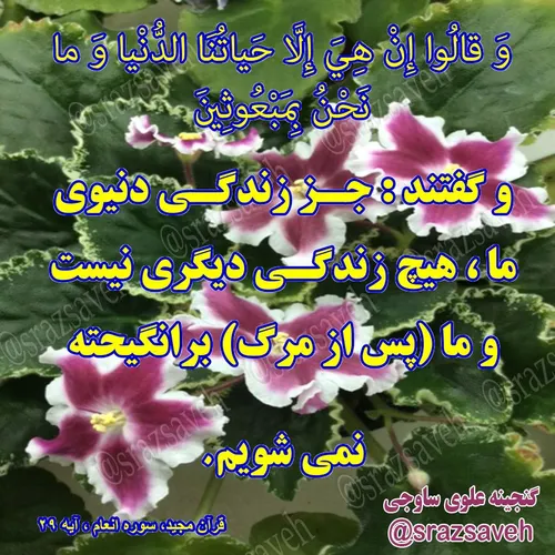 کلام وحی روزی یک آیه از قرآن مجید