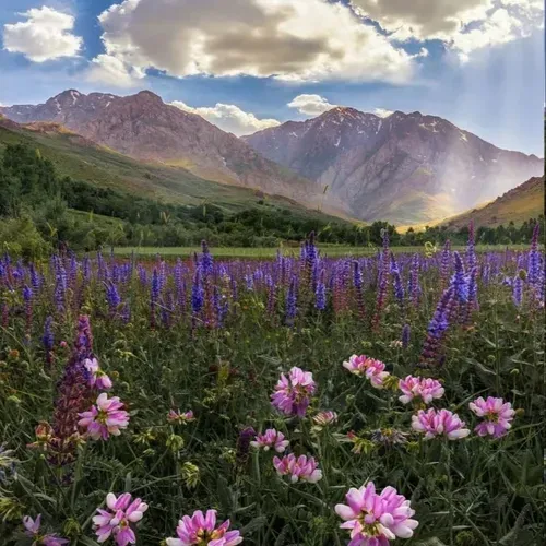 نمایی زیبا از طبیعت اشترانکوه در لرستان