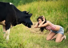 الان این گاوه داره زیر لب میگه  آخه من با تو چیکار کنم جی