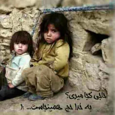 حاجی اینها فتو شاپه تو همون حج برو ،،،،شکم همه سیر هست