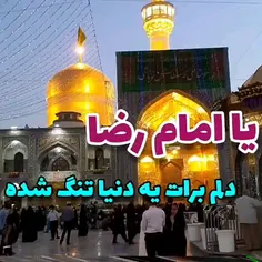 🌸قرار ما حرم توست یا امام رضا(ع)