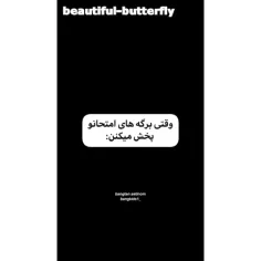 beautiful-butterfly 58975893