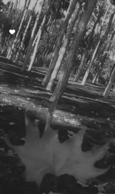 #صبحت #صبحتون_بخیر_و_دلتون_غرق_امید 