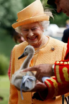 تمام قوهای کشور انگلیس جزو دارایی‌های ملکه انگلیس می باشد