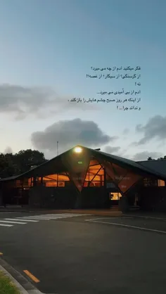 hjyfjihb 74893316