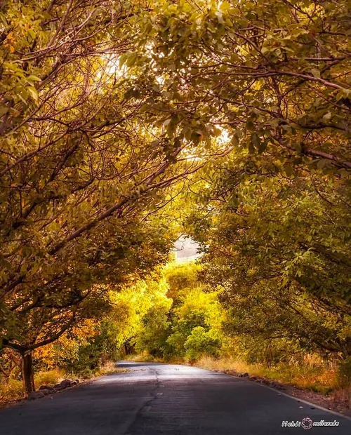 🔥🍁پاییزِ زیبای بیدخون بردسیر
کرمان