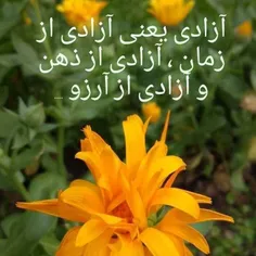 آزادی یعنی آزادی از زمان، آزادی از ذهن و آزادی از آرزو...