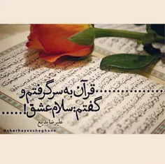 قرآن به سر گرفتم و گفتم سلام عشق
