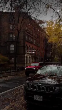 استوری حامیم 🍂🪵