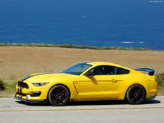 Ford shelby gt350r