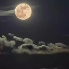 شبتون به زیبایی این ماه ها بخیر 🌑🌙💫