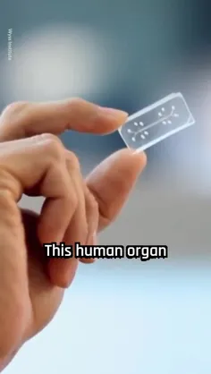 فناوری Organ on a chip یا ارگان های بدن در زیر تراشه جای 