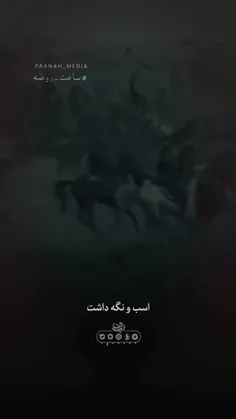 majed_anjomshoaa 75286313