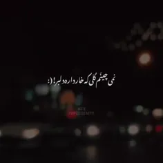 نمیچینم گلی که خار داره #دلبر 🫡🖤