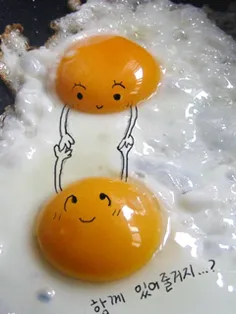 عشق از نوع تخم مرغی..