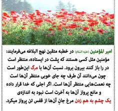 مذهبی shamimvesal 19501369